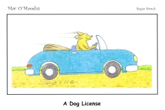 A-Dog-License