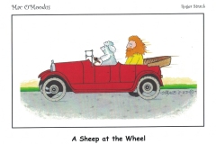 A-Sheep-at-the-Wheel