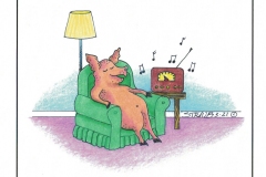 Ham Radio