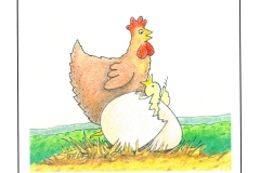 Happy-Bird-Day
