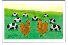 If-Cows-Laid-Eggs