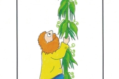 Mac-and-the-Beanstalk