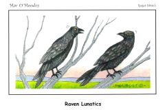 Raven-Lunatics