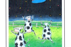 Scaredy-Cows