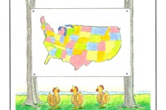 States-of-Confusion