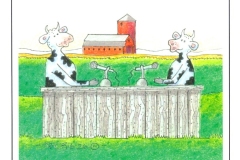 The-Broad-Cowsters