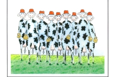 The-Farm-Team