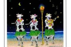 The-Hula-Moola