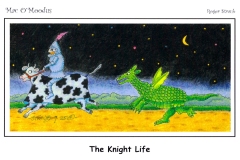 The-Knight-Life