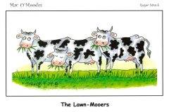 The-Lawn-Mooers