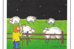 When-Sheep-Wont-Sleep