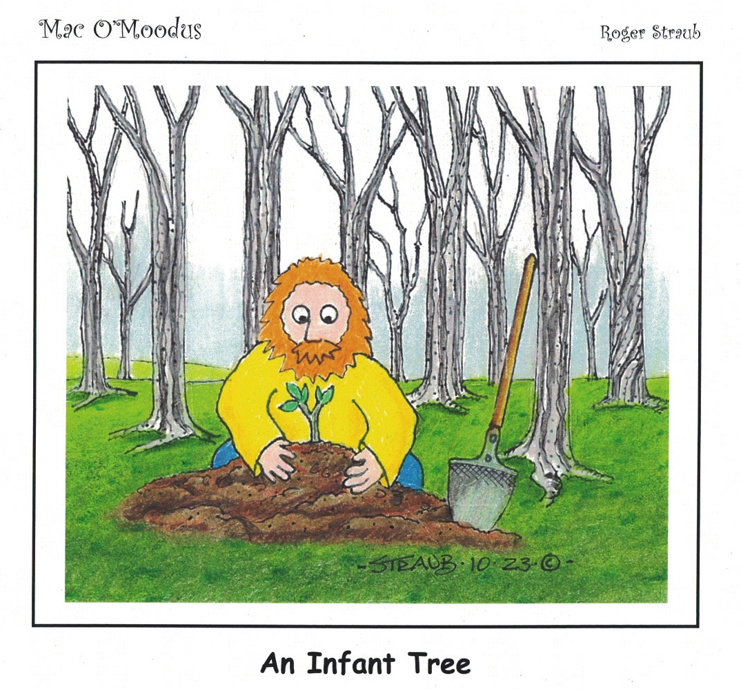 An-Infant-Tree
