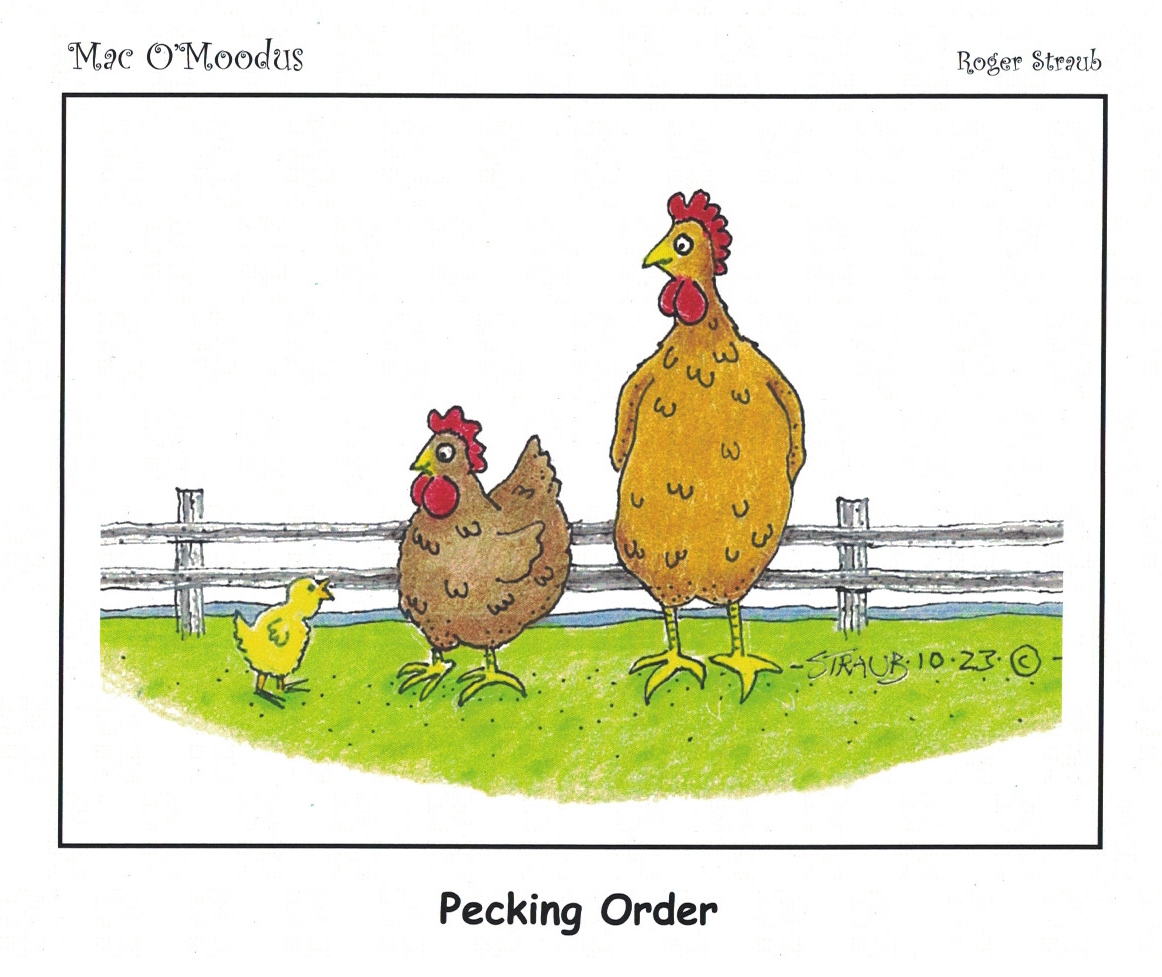 Pecking-Order